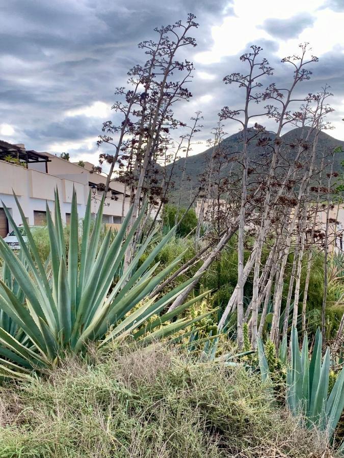 La Pita Del Pozo Daire El Pozo de los Frailes Dış mekan fotoğraf